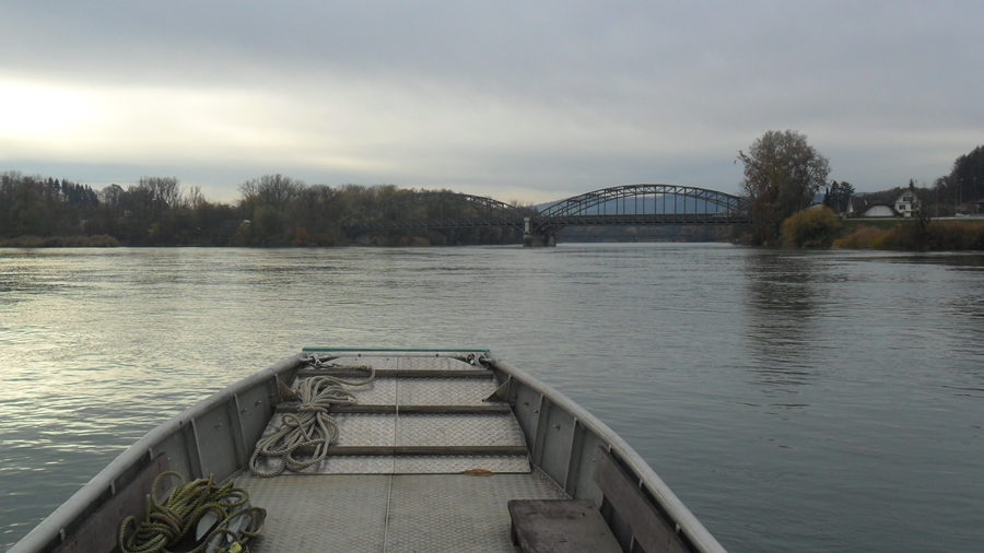 Zusammenfluss Rhein Aare